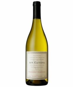 Dv Catena Chardonnay - Chardonnay 6x750ml