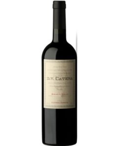 Dv Catena Syrah - Syrah 6x750ml